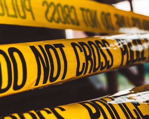 Police Verification by David von Diemar on Unsplash