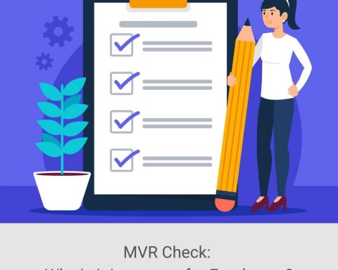 MVR Check for Employers