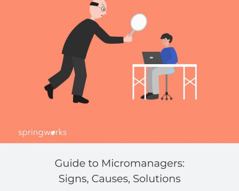 Guide to Micromanagers