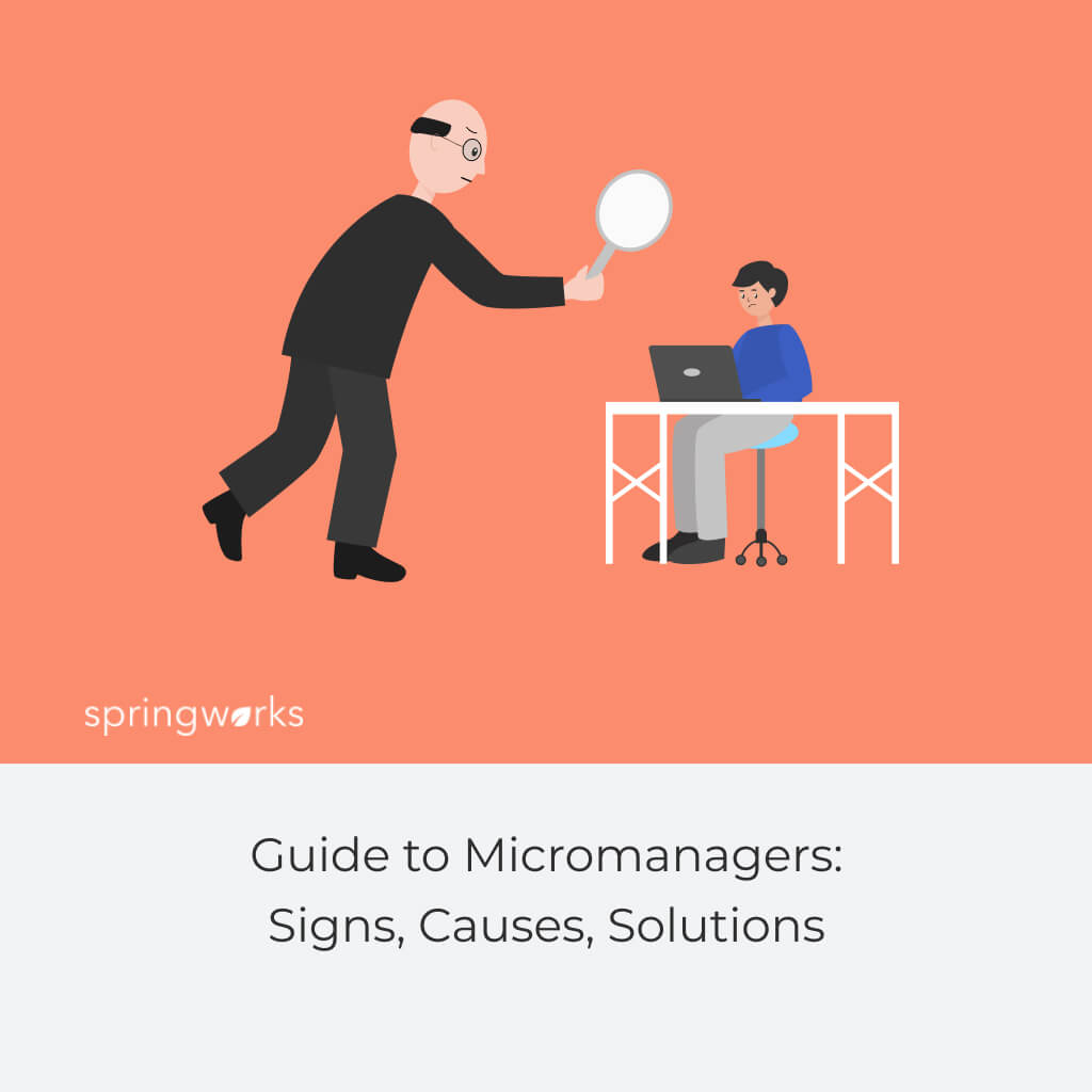 Guide to Micromanagers