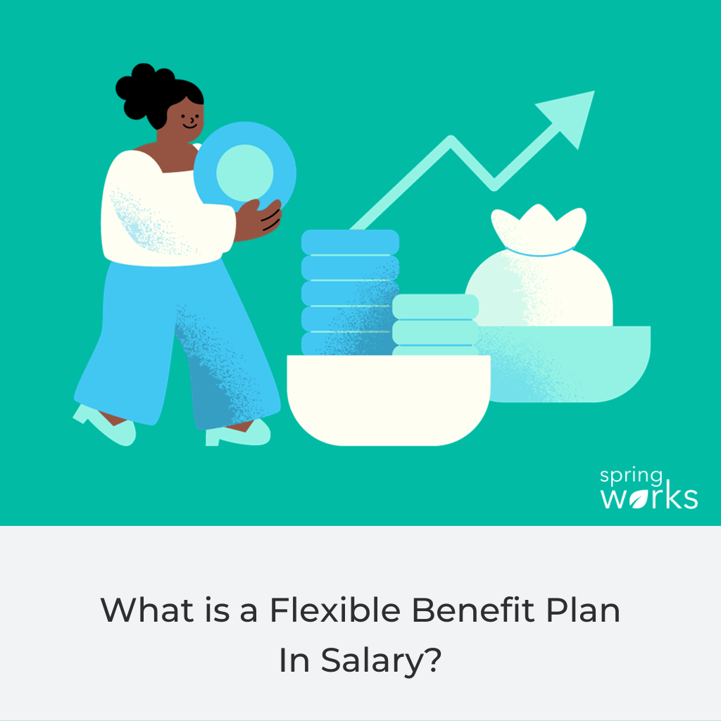 flexible benefit plan