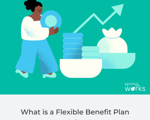 flexible benefit plan